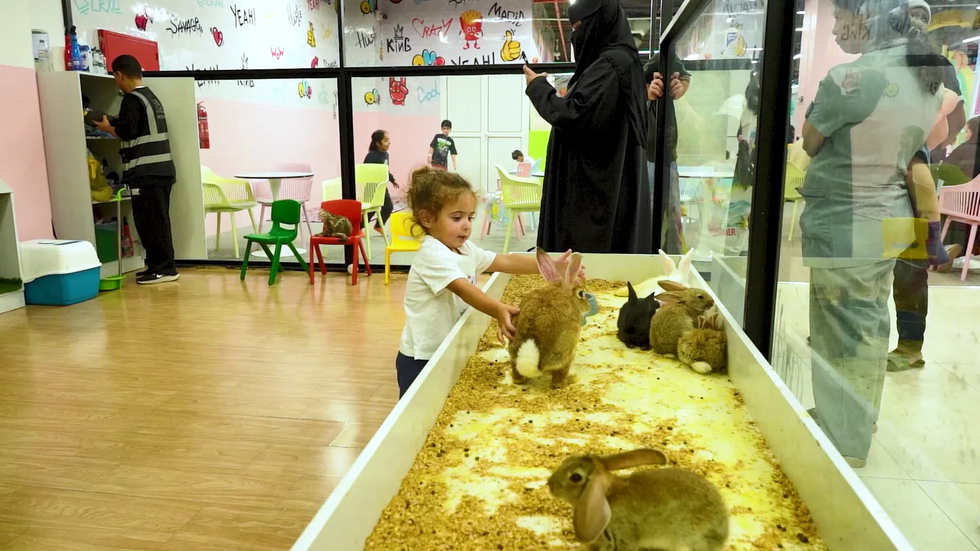 زو بارك بابلز بارك 1